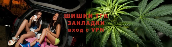 ПСИЛОЦИБИНОВЫЕ ГРИБЫ Няндома