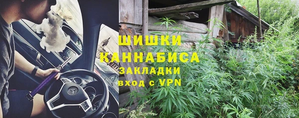 прущие грибы Абдулино