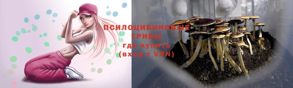 прущие грибы Абдулино