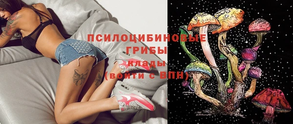 прущие грибы Абдулино