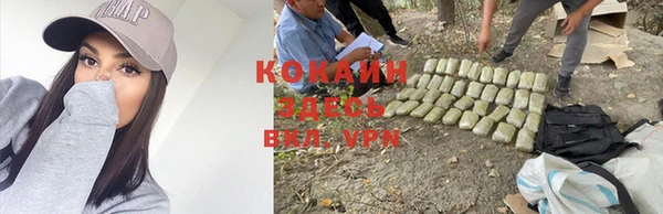 прущие грибы Абдулино